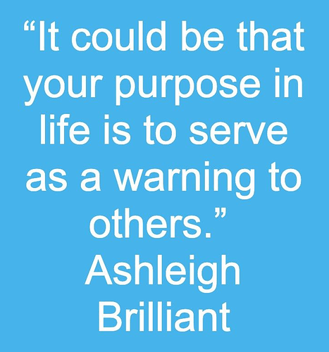 purposeinlife