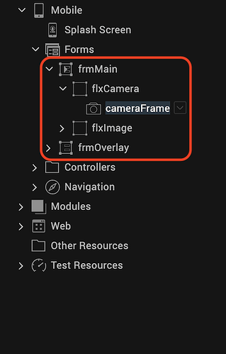 camera_focus_form